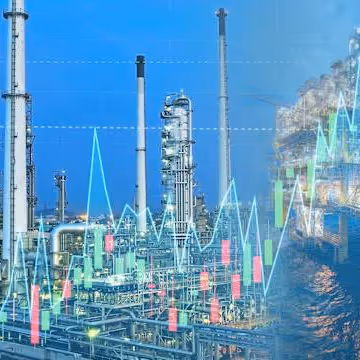 Structura plăților de dividende: ordinare vs. speciale
